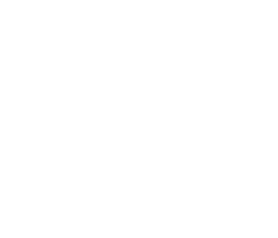 Icon Jobradleasing während Karriere bei TRICERA